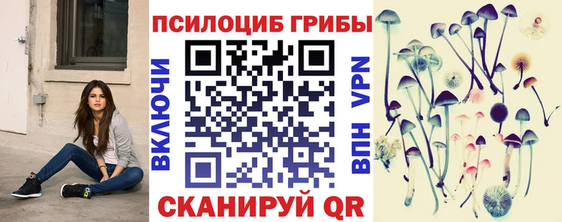 блэк спрут рабочий сайт  Яранск  Галлюциногенные грибы мицелий 